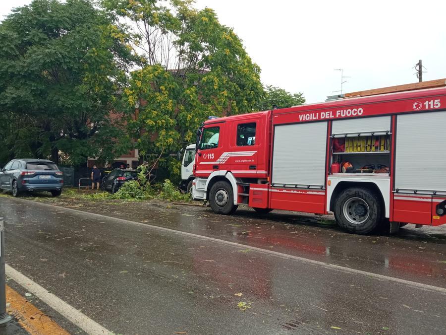 Temporale E Forte Vento, Tanti Danni In Città E Provincia Gazzetta Di ...